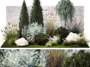 Garden with trees thuja pine bushes olive feather grass grass 1390 3Dモデル