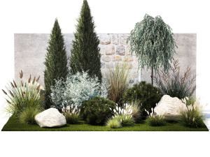 Garden with trees thuja pine bushes olive feather grass grass 1390 3D Model
