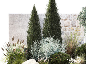 Garden with trees thuja pine bushes olive feather grass grass 1390 3D Model