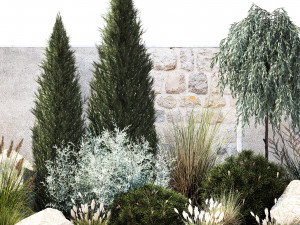 Garden with trees thuja pine bushes olive feather grass grass 1390 3D Model