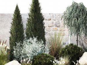 Garden with trees thuja pine bushes olive feather grass grass 1390 3D Model