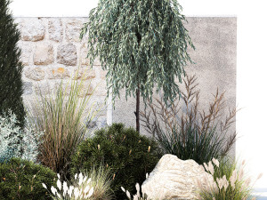 Garden with trees thuja pine bushes olive feather grass grass 1390 3D Model