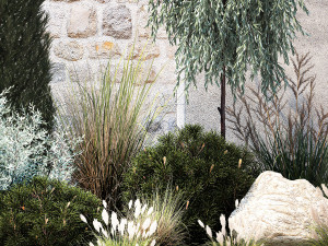 Garden with trees thuja pine bushes olive feather grass grass 1390 3D Model