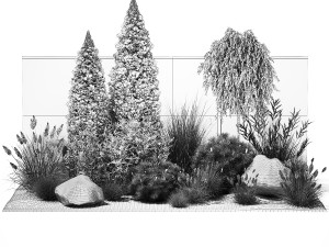 Garden with trees thuja pine bushes olive feather grass grass 1390 3D Model