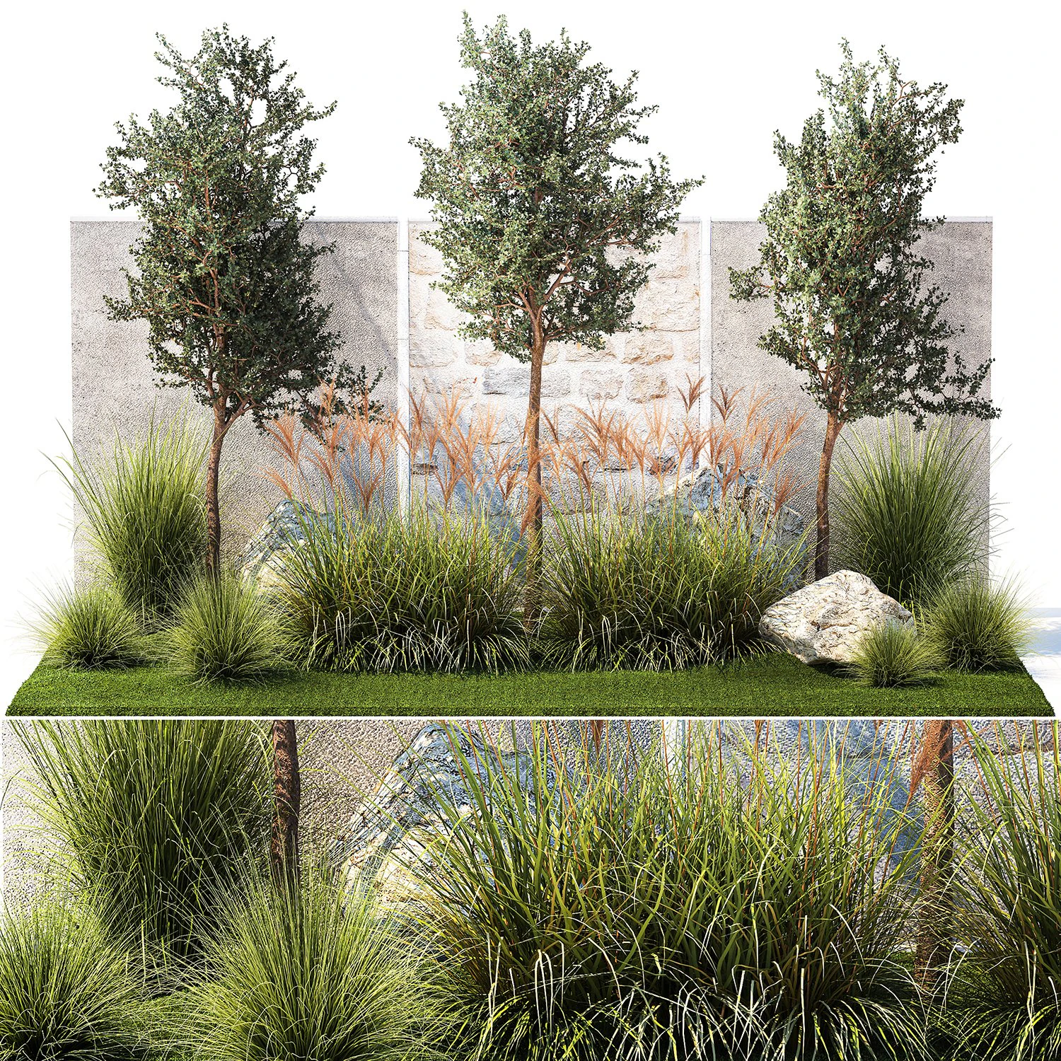 Jardim com &aacute;rvores e arbustos de grama Miscanthus reed grass 1391 Modelo 3D .c4d .max .obj .3ds .fbx .stl .blend 