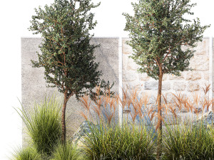 Garden with trees and grass bushes Miscanthus reed grass 1391 Modelo 3D