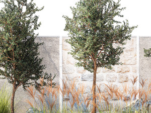 Garden with trees and grass bushes Miscanthus reed grass 1391 Modelo 3D