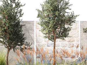 Jardim com &aacute;rvores e arbustos de grama Miscanthus reed grass 1391 Modelo 3D