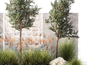 Garden with trees and grass bushes Miscanthus reed grass 1391 Modelo 3D