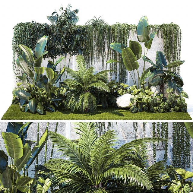 Garden with exotic plants Strelitzia Ravenal palm 1392 3D-Modell .c4d .max .obj .3ds .fbx .stl .blend 