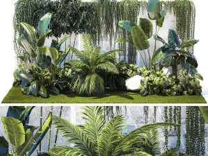 Garden with exotic plants Strelitzia Ravenal palm 1392 3D 모델