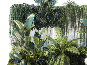 Garden with exotic plants Strelitzia Ravenal palm 1392 3D Model