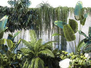 Garden with exotic plants Strelitzia Ravenal palm 1392 3D Model