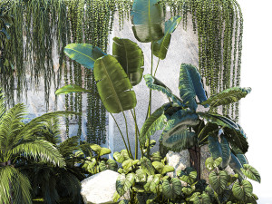 Garden with exotic plants Strelitzia Ravenal palm 1392 3D-Modell