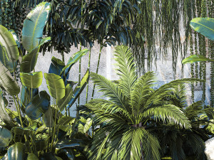 Garden with exotic plants Strelitzia Ravenal palm 1392 3D-Modell