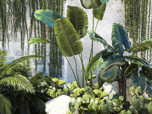 Garden with exotic plants Strelitzia Ravenal palm 1392 3D-Modell