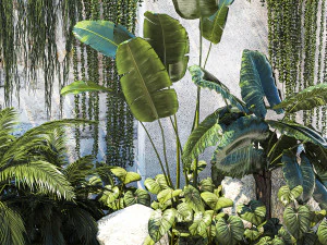 Garden with exotic plants Strelitzia Ravenal palm 1392 3D Model