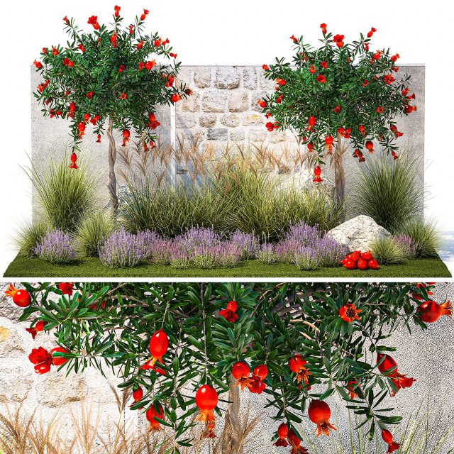 Garden with lavender and flowering pomegranate trees 1393 3Dモデル .c4d .max .obj .3ds .fbx .stl .blend 
