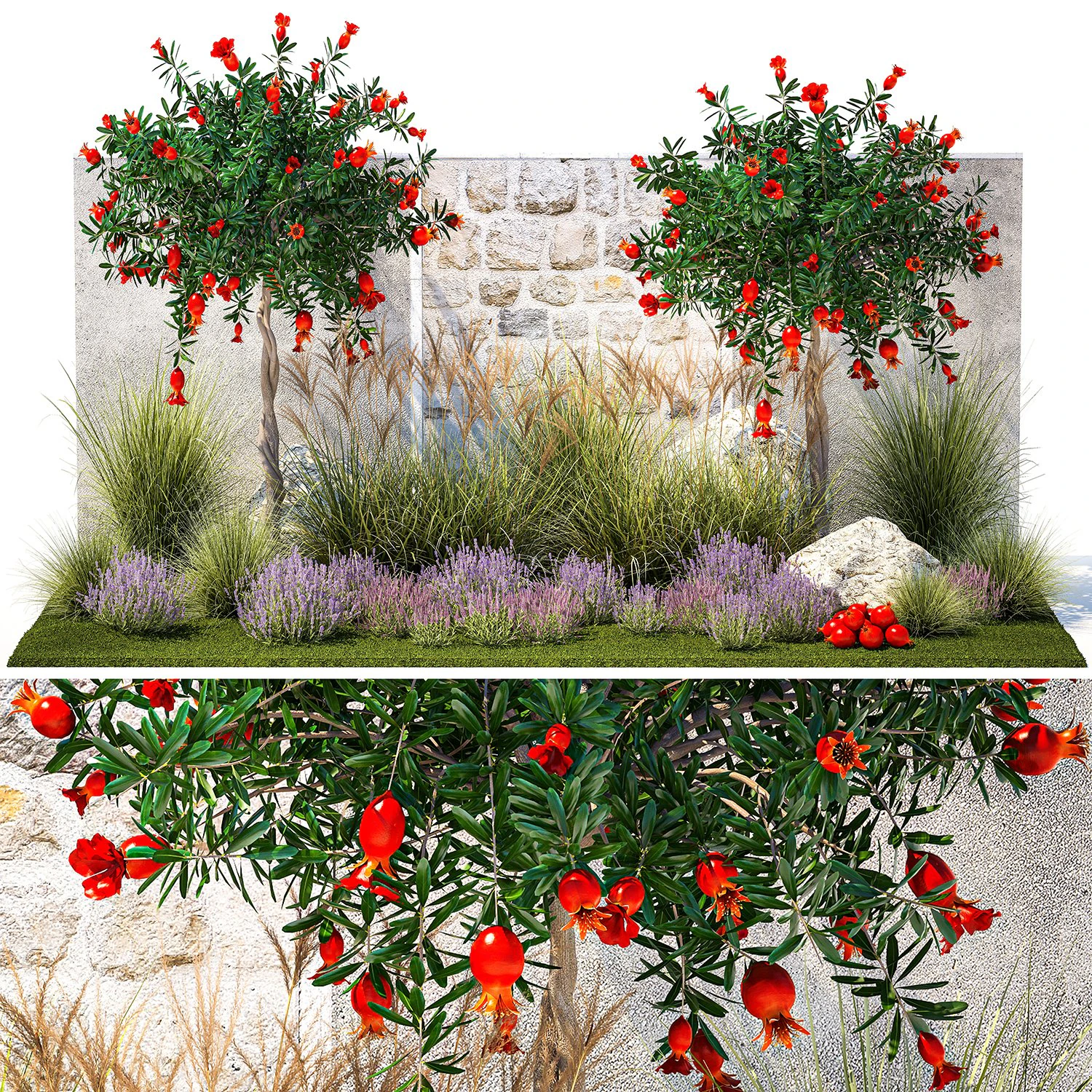 Garden with lavender and flowering pomegranate trees 1393 3D Model .c4d .max .obj .3ds .fbx .stl .blend 