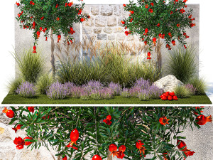 Garden with lavender and flowering pomegranate trees 1393 Modelo 3D