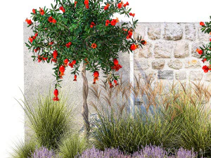 Garden with lavender and flowering pomegranate trees 1393 3D Model