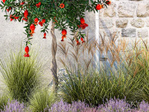 Garden with lavender and flowering pomegranate trees 1393 3D Model