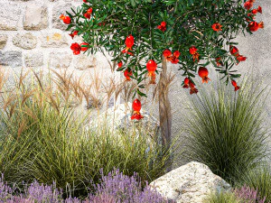 Garden with lavender and flowering pomegranate trees 1393 3D Model