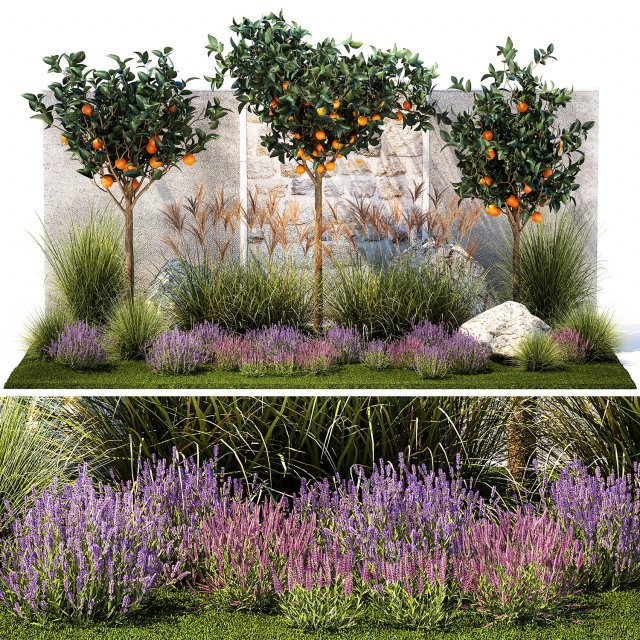Garden with orange trees and lavender flowers 1394 3Dモデル .c4d .max .obj .3ds .fbx .stl .blend 