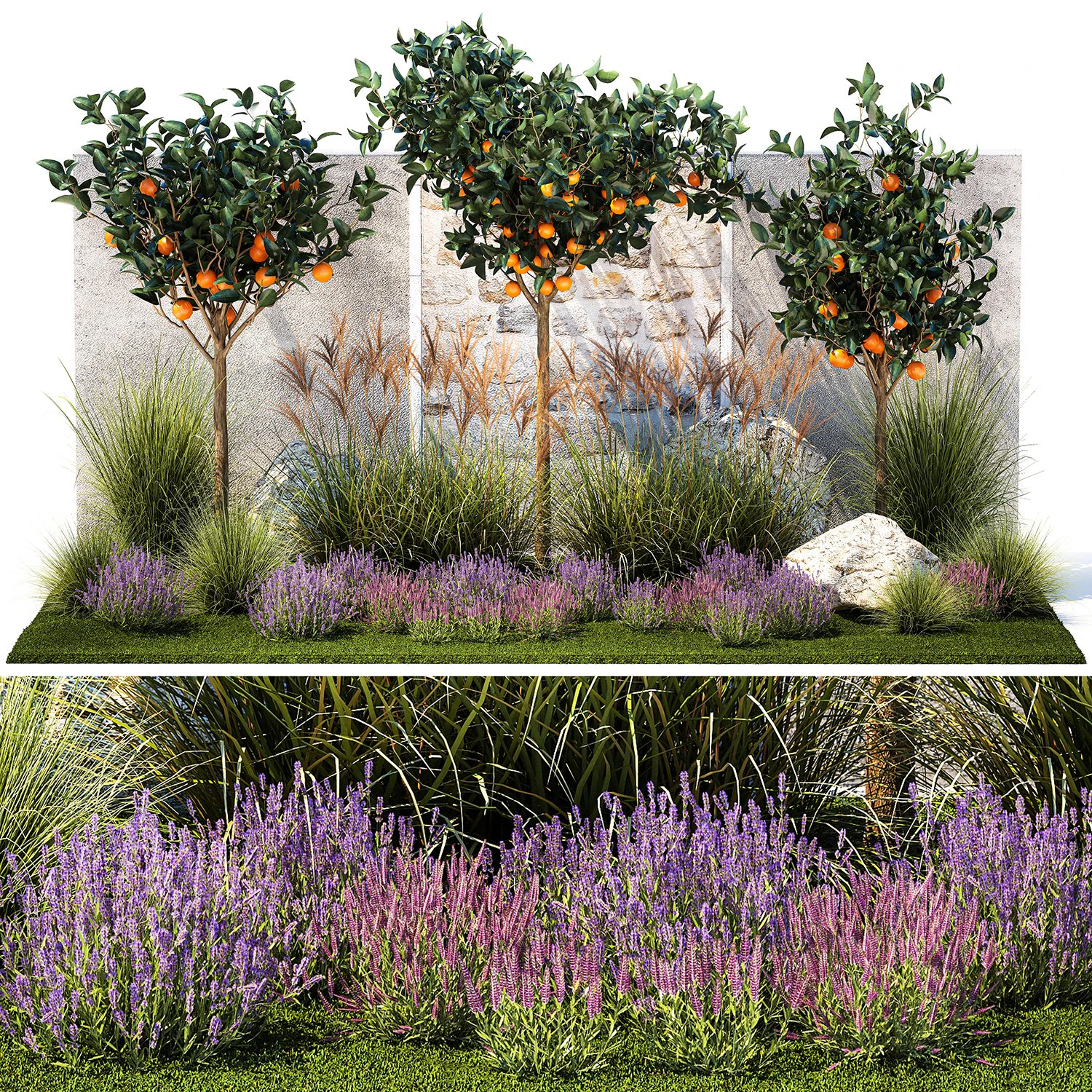 Garden with orange trees and lavender flowers 1394 3D Model .c4d .max .obj .3ds .fbx .stl .blend 