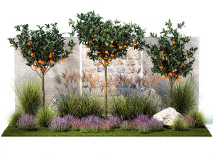 Garden with orange trees and lavender flowers 1394 3D Model
