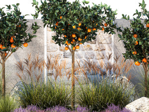 Garden with orange trees and lavender flowers 1394 3Dモデル