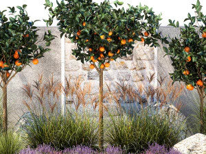 Garden with orange trees and lavender flowers 1394 3D Model