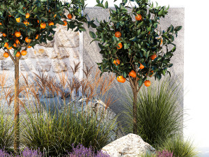 Garden with orange trees and lavender flowers 1394 3Dモデル