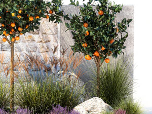 Garden with orange trees and lavender flowers 1394 3D Model
