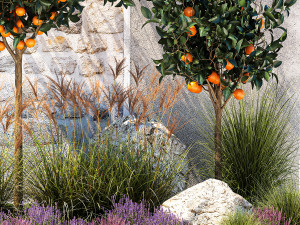 Garden with orange trees and lavender flowers 1394 3Dモデル