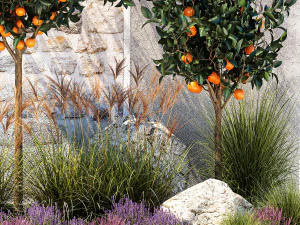 Garden with orange trees and lavender flowers 1394 3D Model