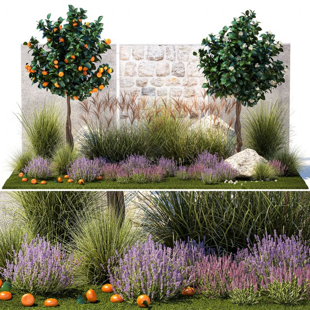 Garden with tangerine trees and lavender bushes 1395 3D Модель .c4d .max .obj .3ds .fbx .stl .blend 