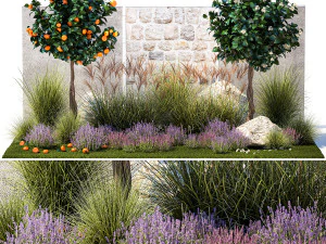 みかんの木とラベンダーの茂みのある庭園 1395 3Dモデル