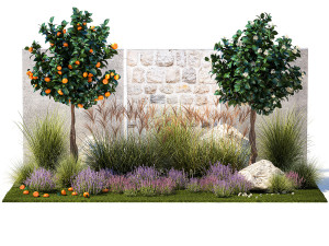Garden with tangerine trees and lavender bushes 1395 3D Модель