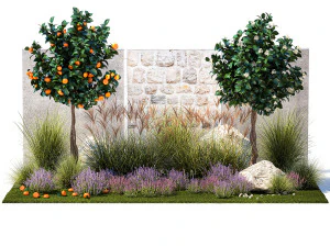 Garden with tangerine trees and lavender bushes 1395 3D Model