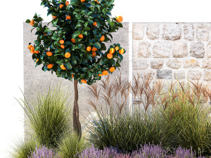 Garden with tangerine trees and lavender bushes 1395 3D Модель