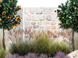 Garden with tangerine trees and lavender bushes 1395 3D Model