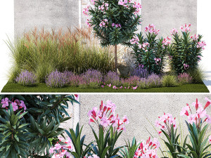 Garden of pink Nerium oleander and lavender bushes 1396 Modelo 3D