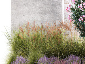 Garden of pink Nerium oleander and lavender bushes 1396 Modèle 3D