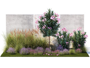 Garden of pink Nerium oleander and lavender bushes 1396 Modèle 3D