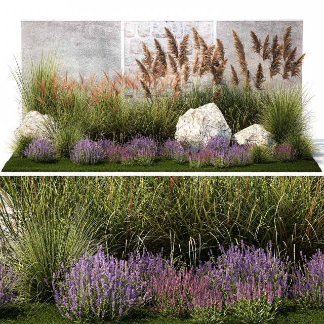 Garden Flowers Lavender Pampas Grass Miscanthus 1397 Modello 3D .c4d .max .obj .3ds .fbx .stl .blend 