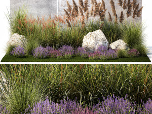Garden Flowers Lavender Pampas Grass Miscanthus 1397 3D Model