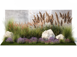 Garden Flowers Lavender Pampas Grass Miscanthus 1397 Modello 3D