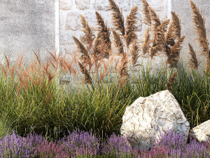 Garden Flowers Lavender Pampas Grass Miscanthus 1397 Modello 3D
