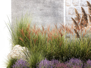 Garden Flowers Lavender Pampas Grass Miscanthus 1397 Modello 3D